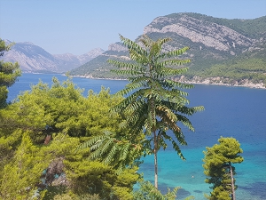 peljesac-a4-v